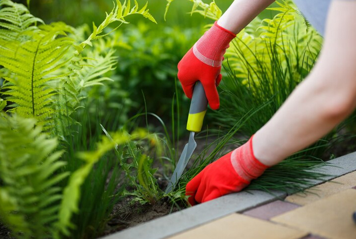 Gardening Services-Commercial Estate India